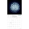 image Astronomy Photographer of the Year 2025 Wall Calendar Third Alternate Image