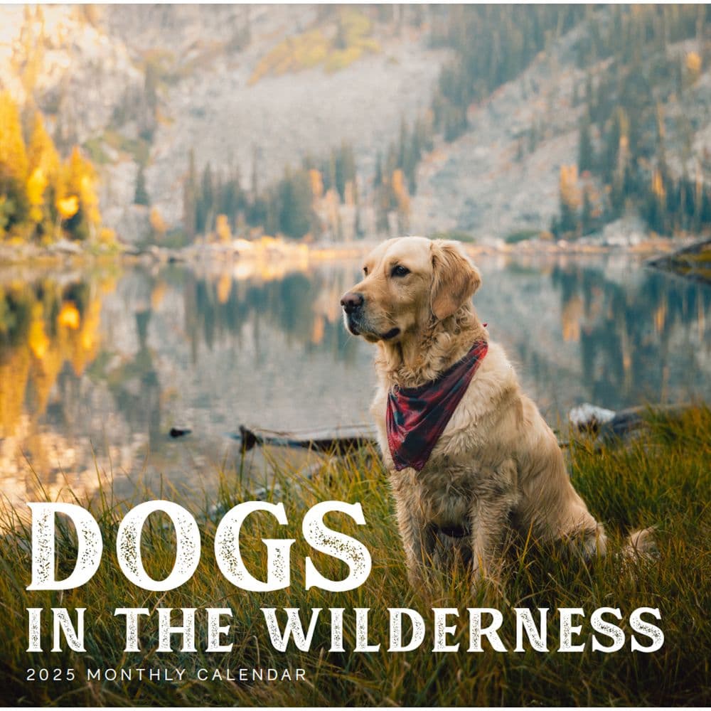 Dogs in the Wilderness 2025 Wall Calendar