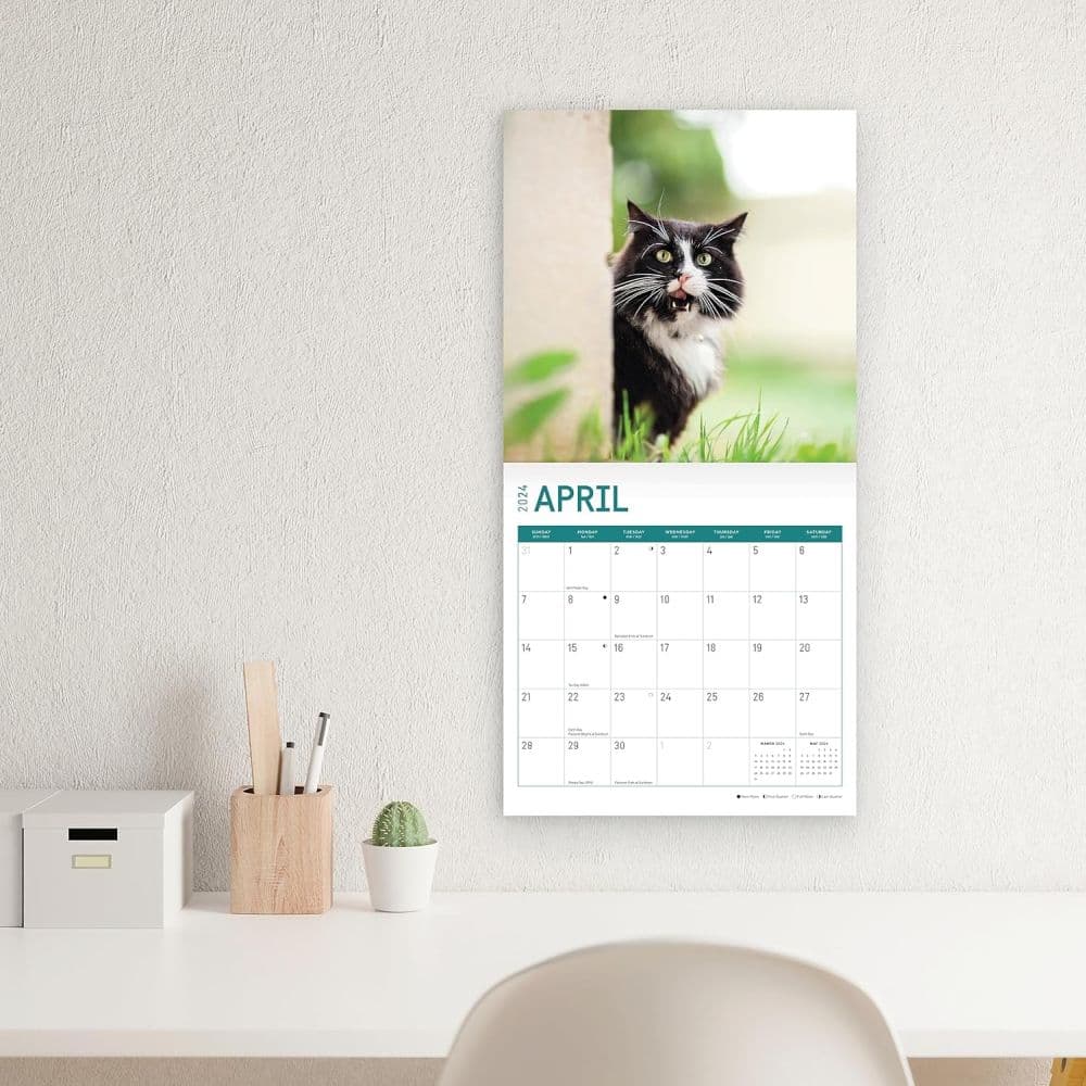 Tuxedo Cats 2024 Wall Calendar - Calendars.com