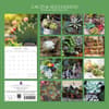 image Cacti and Succulents 2026 Wall Calendar First Alternate Image