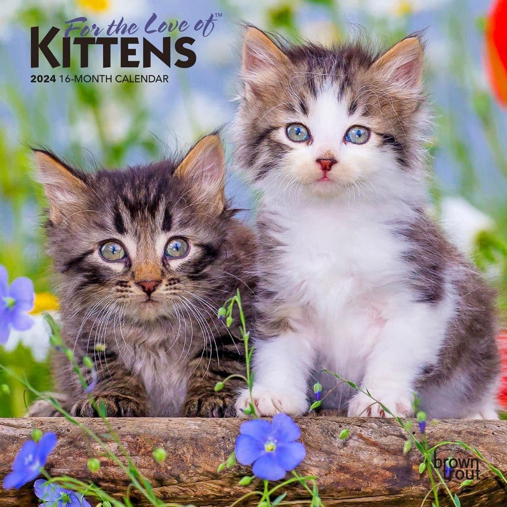 For the Love of Kittens 2024 Mini Wall Calendar Main Product Image width=&quot;1000&quot; height=&quot;1000&quot;