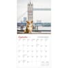 image Dogs on Vacation 2025 Wall Calendar Fourth Alternate Image