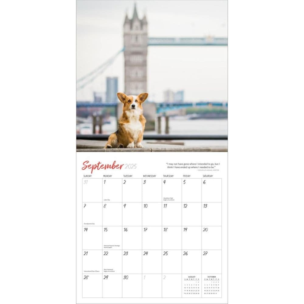 Dogs on Vacation 2025 Wall Calendar Fourth Alternate Image