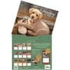 image Puppy 2027 Wall Calendar by Jim Lamb Fourth Alternate Image