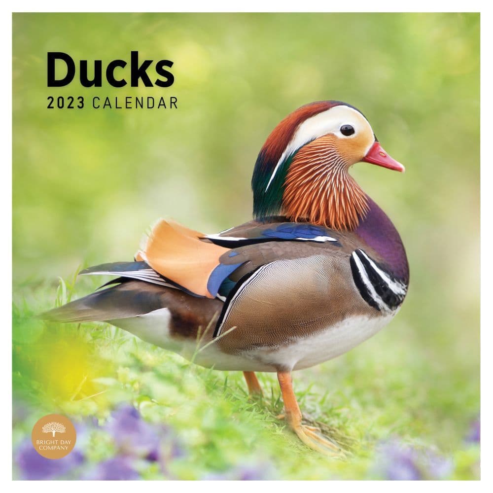 Dunkin Ducks Calendar Printable Word Searches