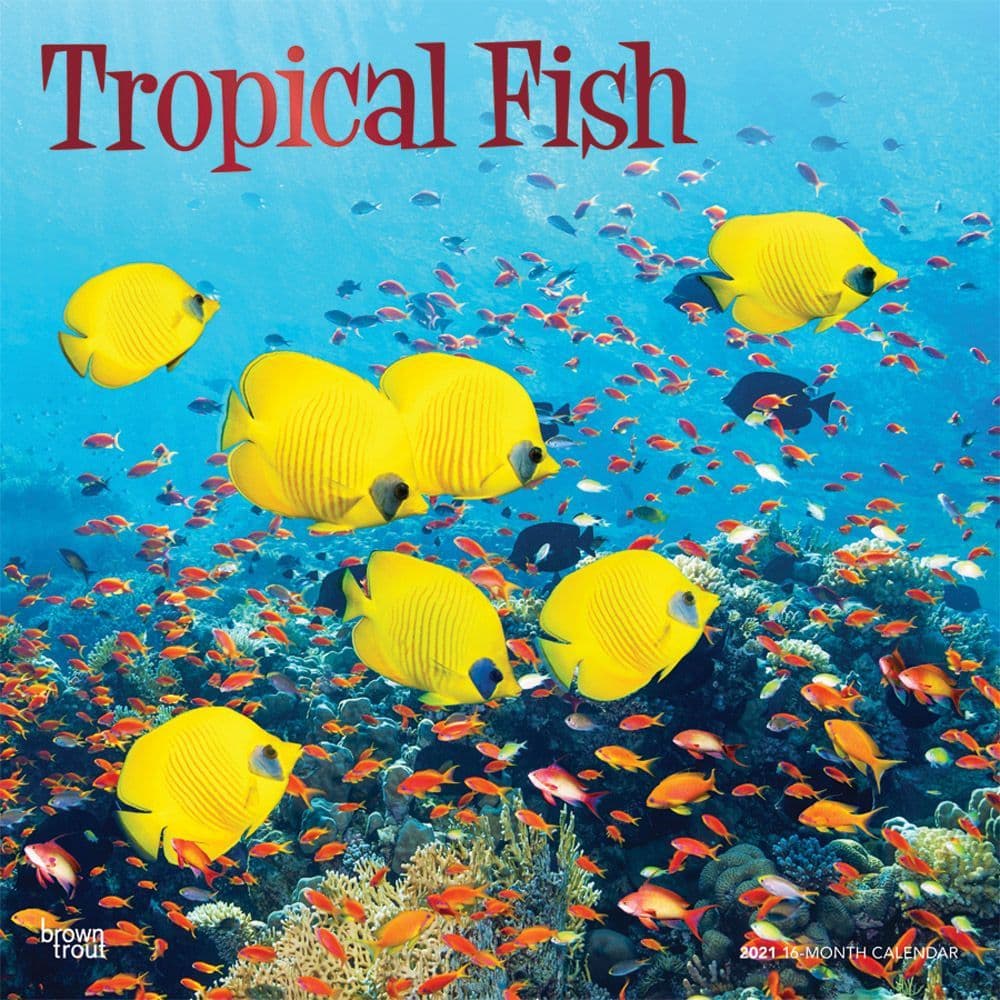 Tropical Fish Wall Calendar