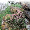 image Virginia Wild and Scenic 2024 Wall Calendar Main Product Image width=&quot;1000&quot; height=&quot;1000&quot;
