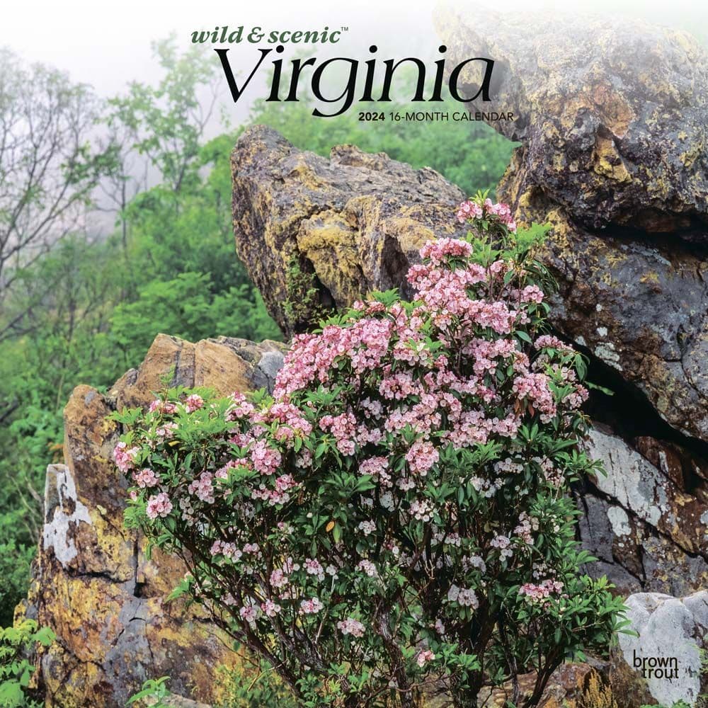 Virginia Wild and Scenic 2024 Wall Calendar Main Product Image width=&quot;1000&quot; height=&quot;1000&quot;