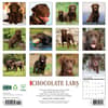 image Just Chocolate Labs 2026 Wall Calendar First Alternate Image