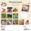 image Chihuahua Puppies 2027 Wall Calendar First Alternate Image