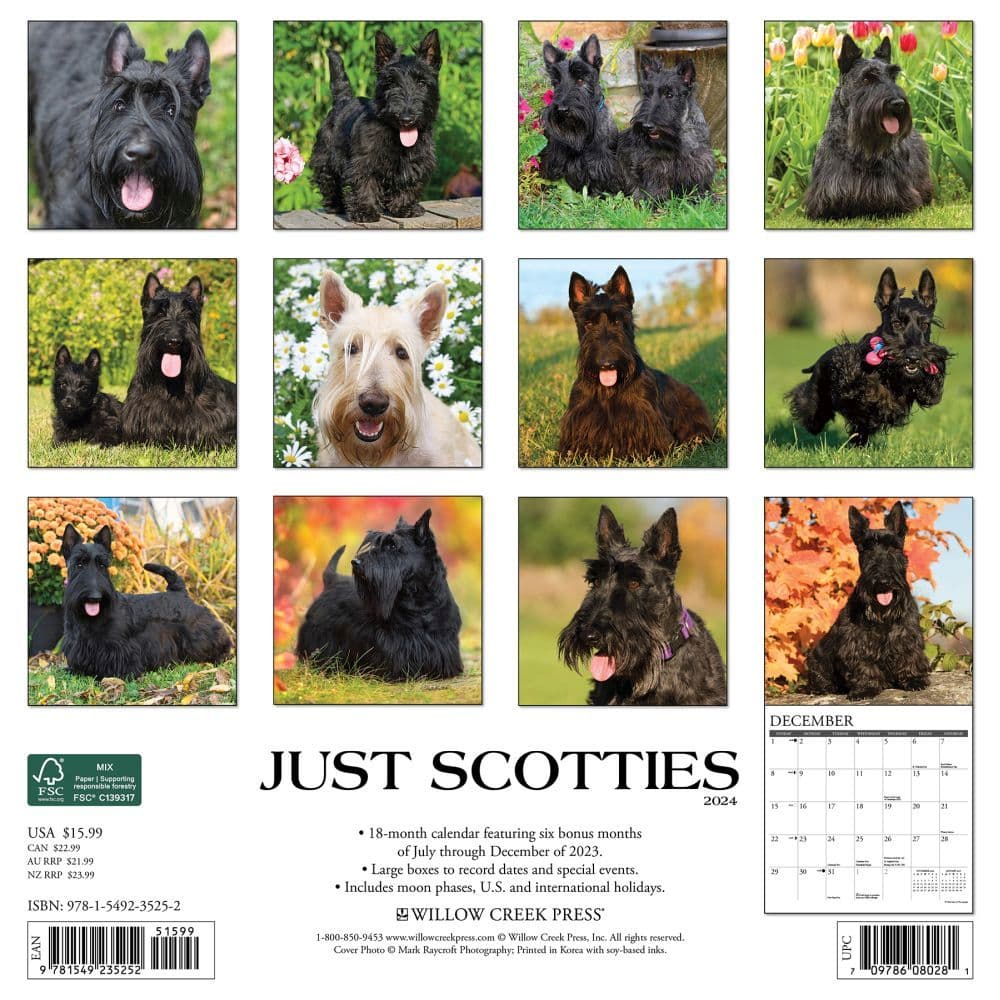 Just Scotties 2024 Wall Calendar