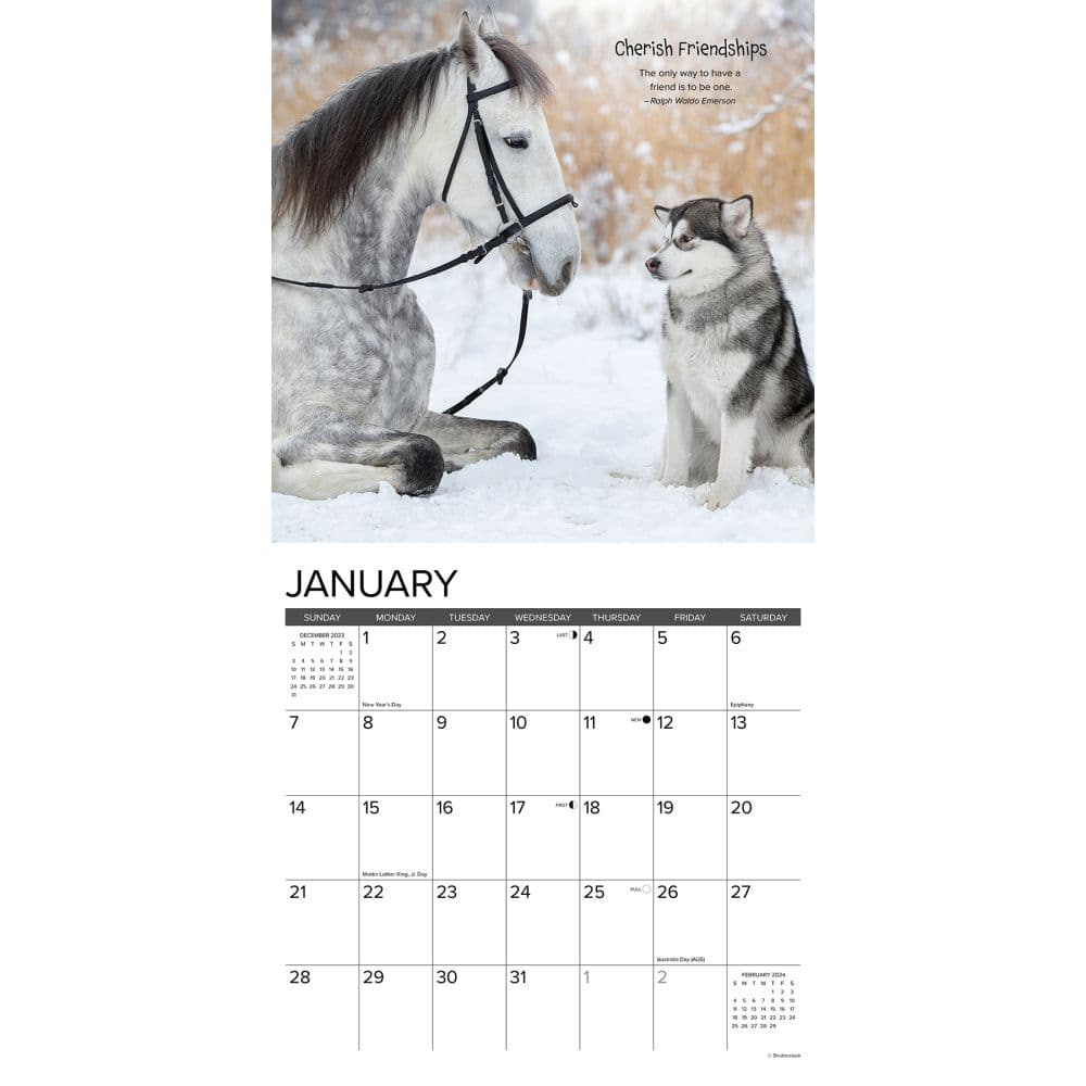 Seize The Hay 2024 Wall Calendar