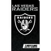 image NFL Las Vegas Raiders 17 Month 2025 Pocket Planner Main Image