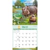 image Animal Antics 2025 Wall Calendar Second Alternate Image width="1000" height="1000"