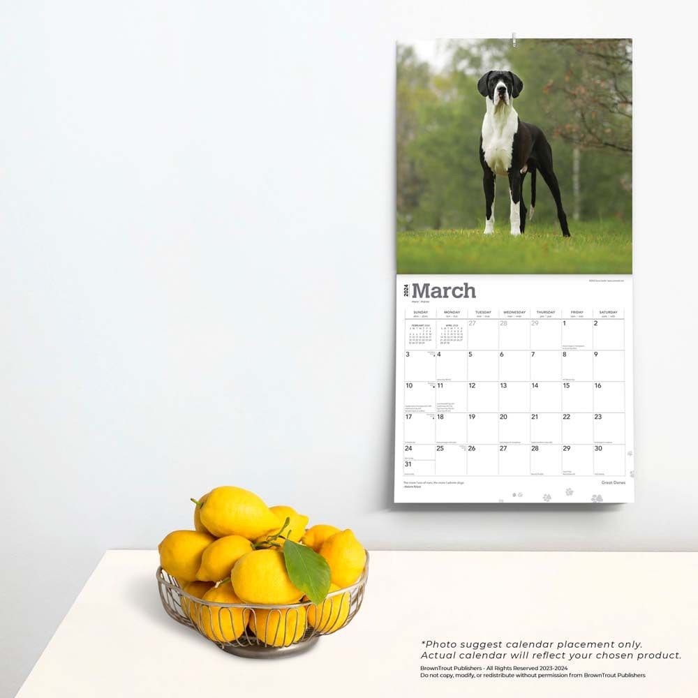 Great Danes International 2024 Wall Calendar