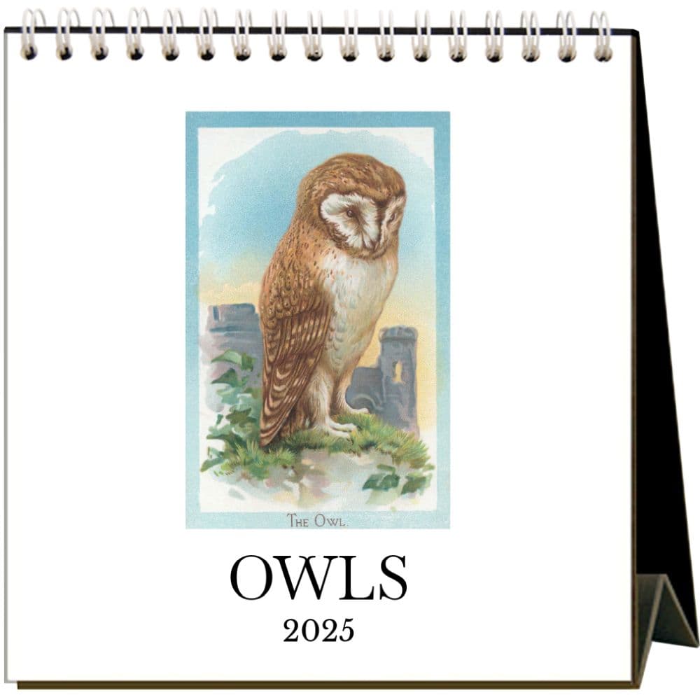 Owls 2025 Easel Desk Calendar