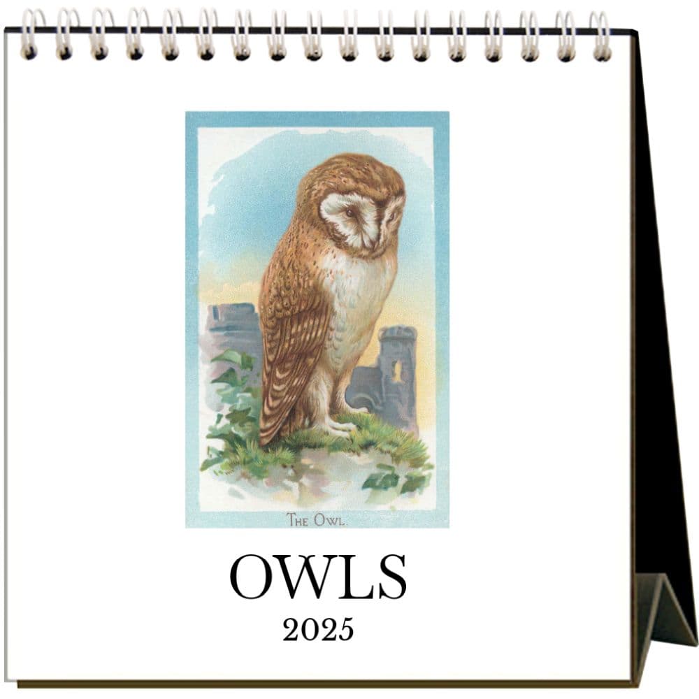 image Owls 2025 Easel Desk Calendar Main Image