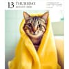 image Cat Gallery 2026 Desk Calendar Fifth Alternate Image