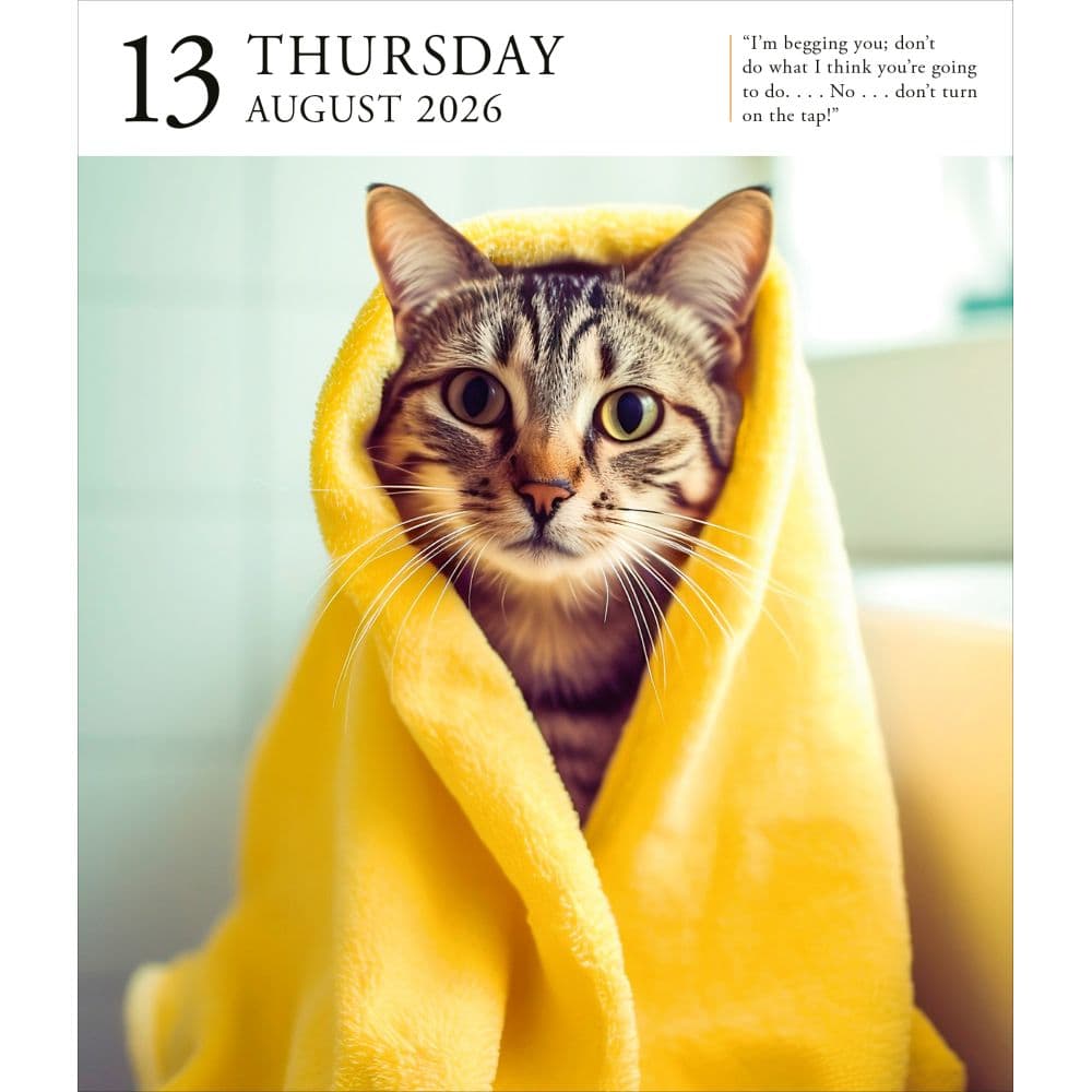 Cat Gallery 2026 Desk Calendar Fifth Alternate Image