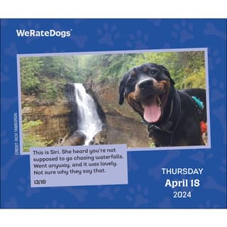 We Rate Dogs 2024 Desk Calendar - Calendars.com