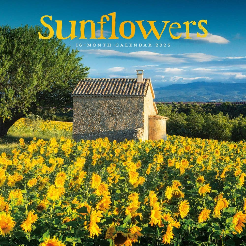 Sunflowers 2025 Wall Calendar Main Image