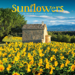 Sunflowers 2025 Wall Calendars
