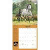 image How to Think Like a Horse 2025 Wall Calendar Third Alternate Image width="1000" height="1000"