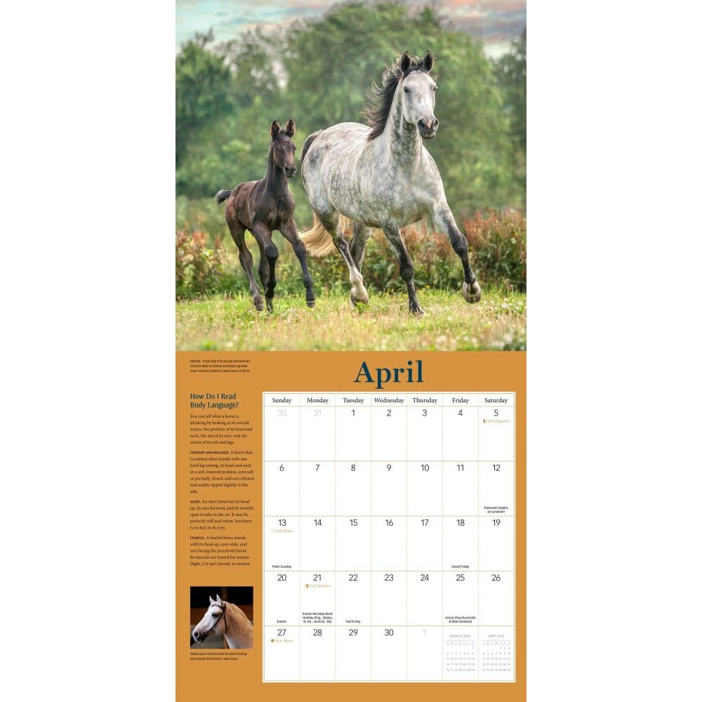 How to Think Like a Horse 2025 Wall Calendar Third Alternate Image width="1000" height="1000"