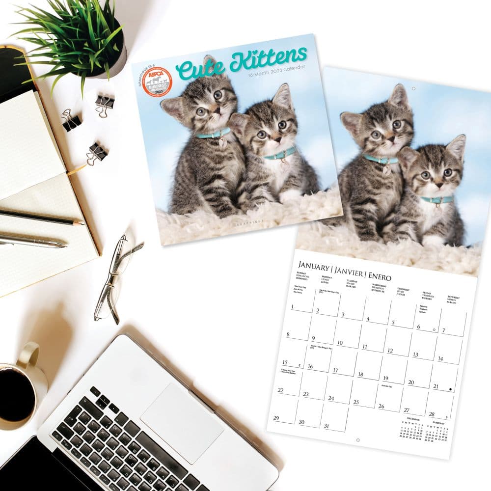 Cute Kittens 2023 Wall Calendar - Calendars.com