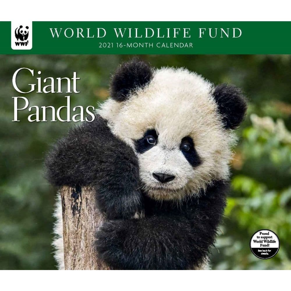 Giant Pandas WWF Wall Calendar - Calendars.com