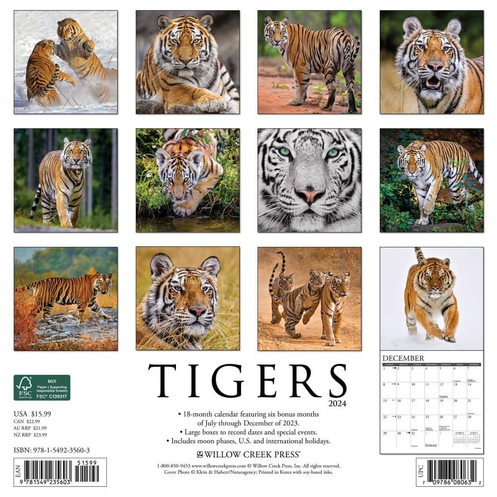 Tigers 2024 Wall Calendar