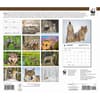 image Wolves WWF 2026 Wall Calendar First Alternate Image
