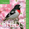 image Audubon Birds 2026 Desk Calendar Main Image