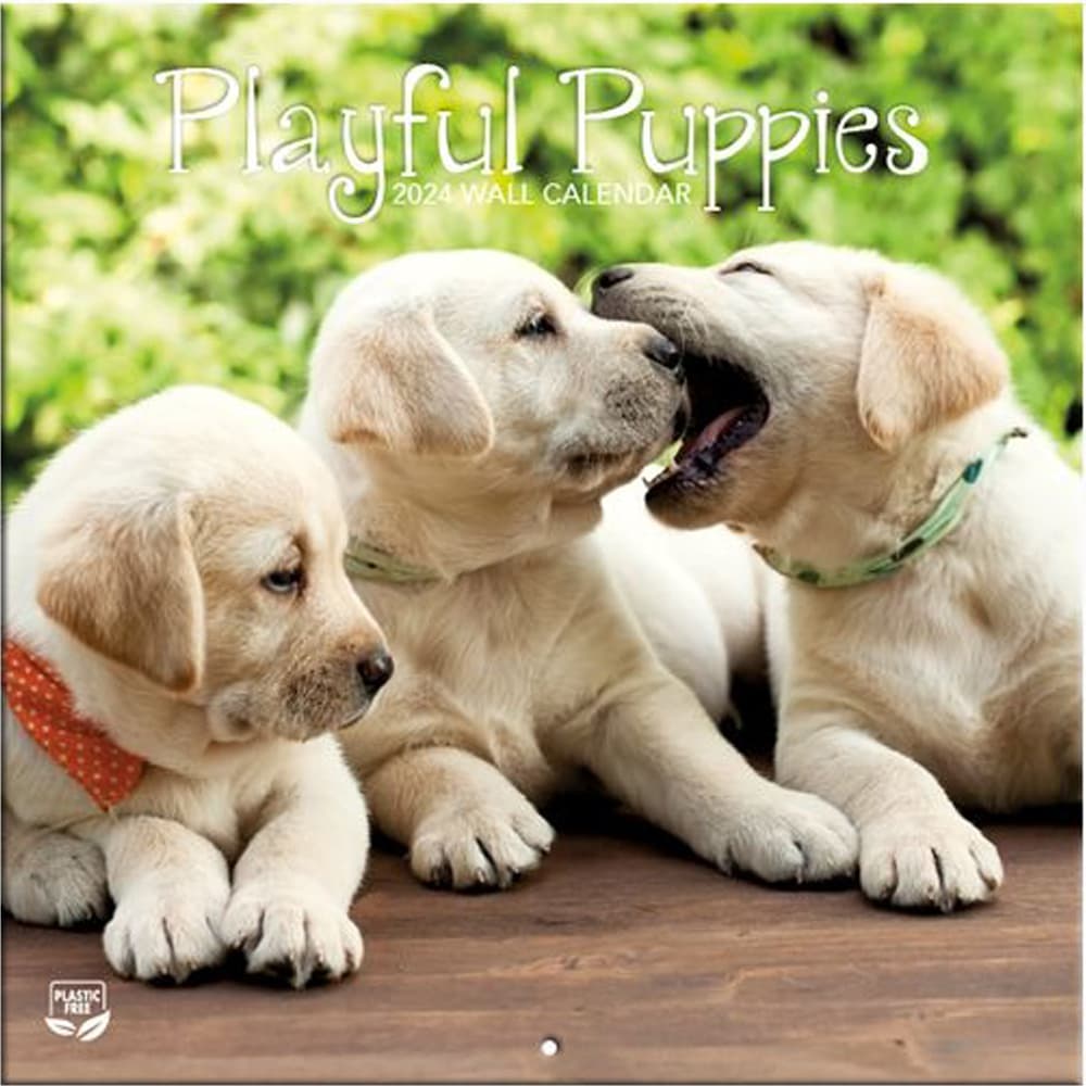 Puppies Playful Photo 2024 Mini Wall Calendar - Calendars.com