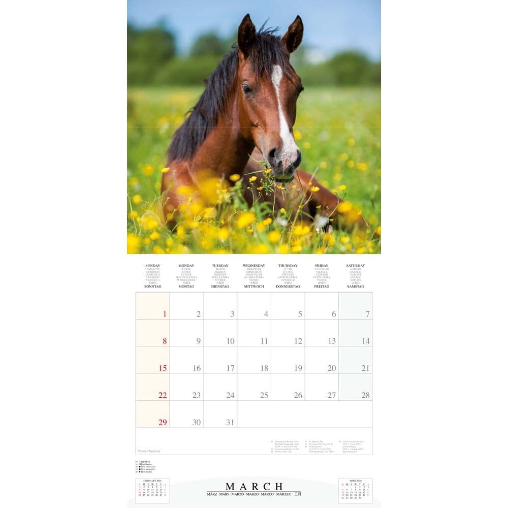 Magic Horses 2026 Wall Calendar Fourth Alternate Image