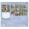 image Songbirds Special Edition 2024 Wall Calendar First Alternate Image width=&quot;1000&quot; height=&quot;1000&quot;