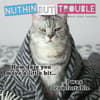 image Nuthin But Trouble 2024 Wall Calendar Main Product Image width=&quot;1000&quot; height=&quot;1000&quot;