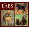 image Just Labs 2026 Desk Calendar Fourth Alternate Image