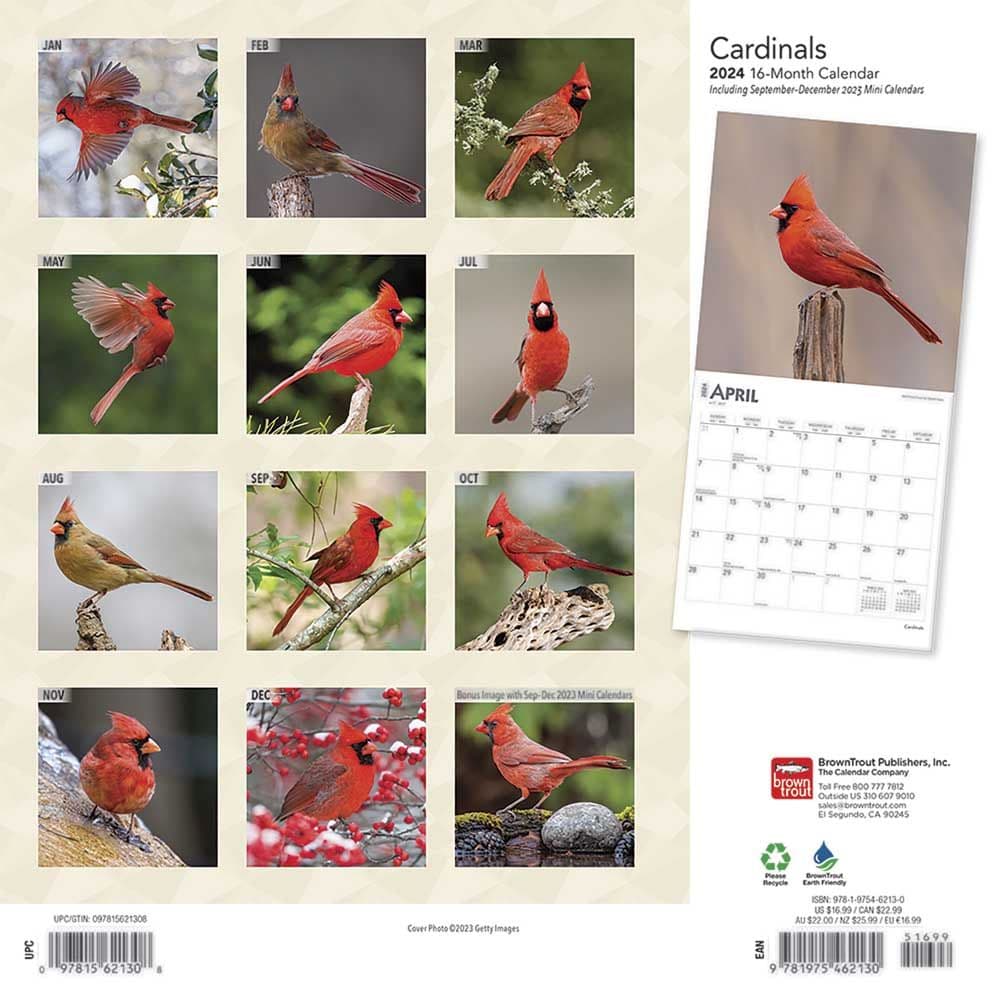 St Louis Cardinals Wall Calendar 2025