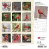 image Cardinals 2024 Wall Calendar First Alternate Image width=&quot;1000&quot; height=&quot;1000&quot;
