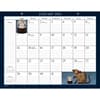 image american-cat-2024-desk-calendar-main