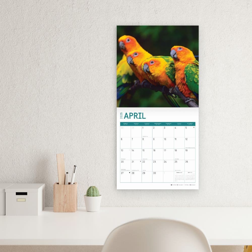 Tropical Birds 2025 Wall Calendar Third Alternate Image width="1000" height="1000"