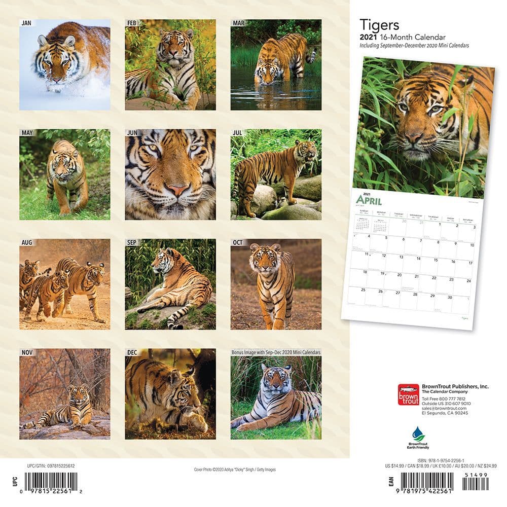 Tigers Wall Calendar