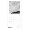 image Georgia OKeeffe 2027 Wall Calendar Third Alternate Image