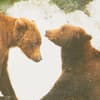 image Photo Bear Friends Blank Card Fifth Alternate Image width=&quot;1000&quot; height=&quot;1000&quot;