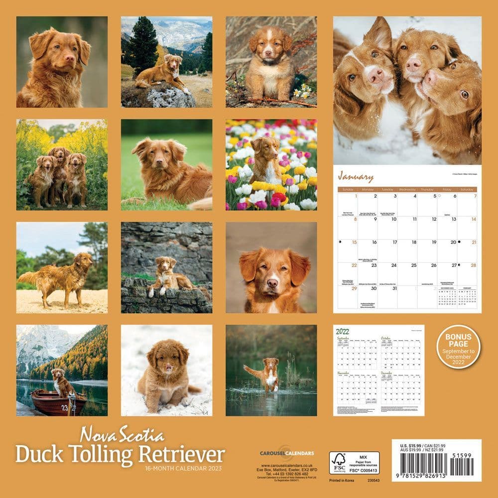 Nova Calendar Fall 2023 Nova Scotia Duck Tolling Retriever 2023 Wall Calendar - Calendars.com