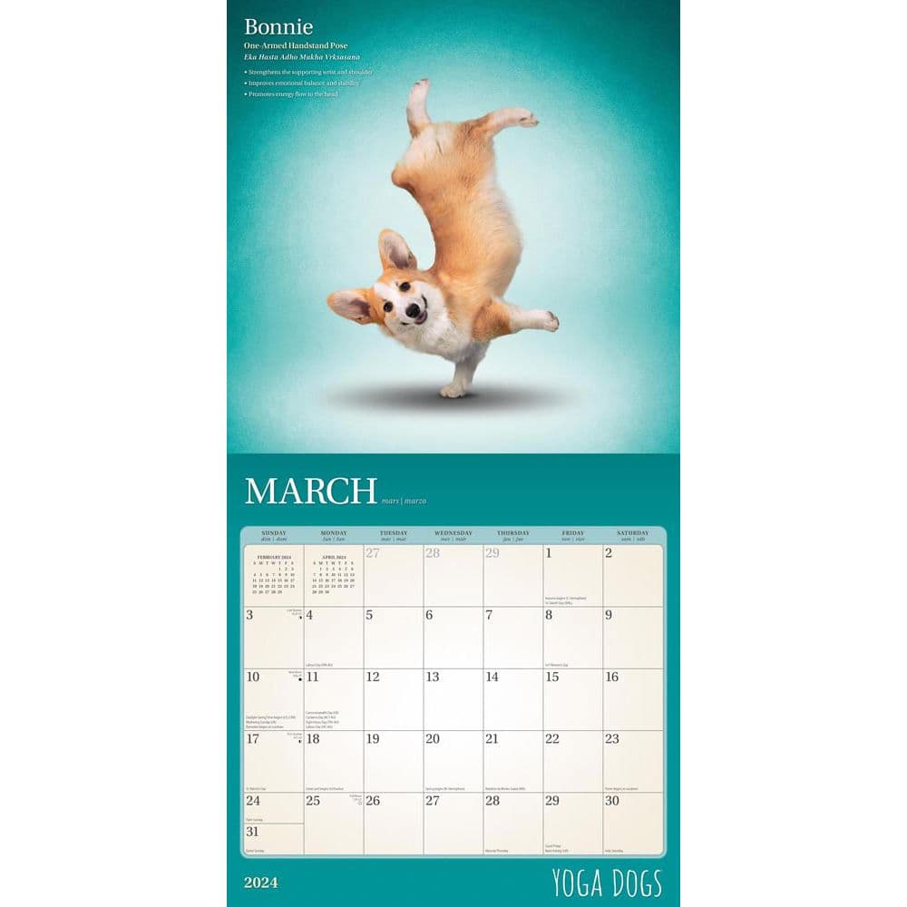 Yoga Dogs 2024 Wall Calendar Second Alternate Image width=&quot;1000&quot; height=&quot;1000&quot;