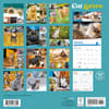 image Cat Lovers 2025 Wall Calendar First Alternate Image width=&quot;1000&quot; height=&quot;1000&quot;