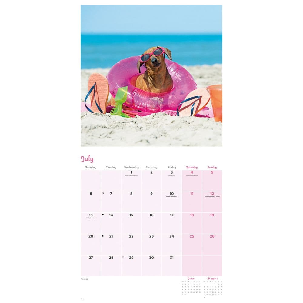 Dogs in Disguise 2026 Wall Calendar Third Alternate Image