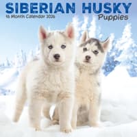 image Siberian Husky Puppies 2026 Mini Wall Calendar Main Image